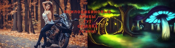 молекула духа Володарск