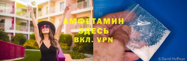 ГАЛЛЮЦИНОГЕННЫЕ ГРИБЫ Волосово