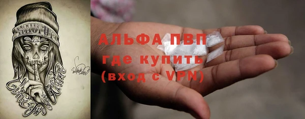 ГАЛЛЮЦИНОГЕННЫЕ ГРИБЫ Волосово