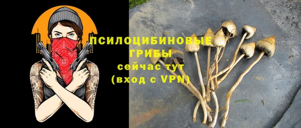 молекула духа Володарск