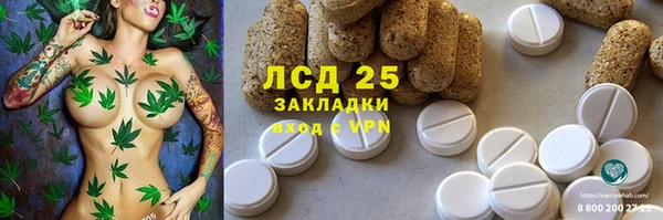 ГАЛЛЮЦИНОГЕННЫЕ ГРИБЫ Волосово