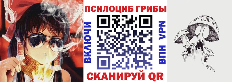 Псилоцибиновые грибы ЛСД цены Тамбов
