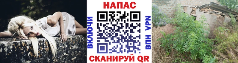 МАРИХУАНА гибрид  где продают наркотики  Тамбов 